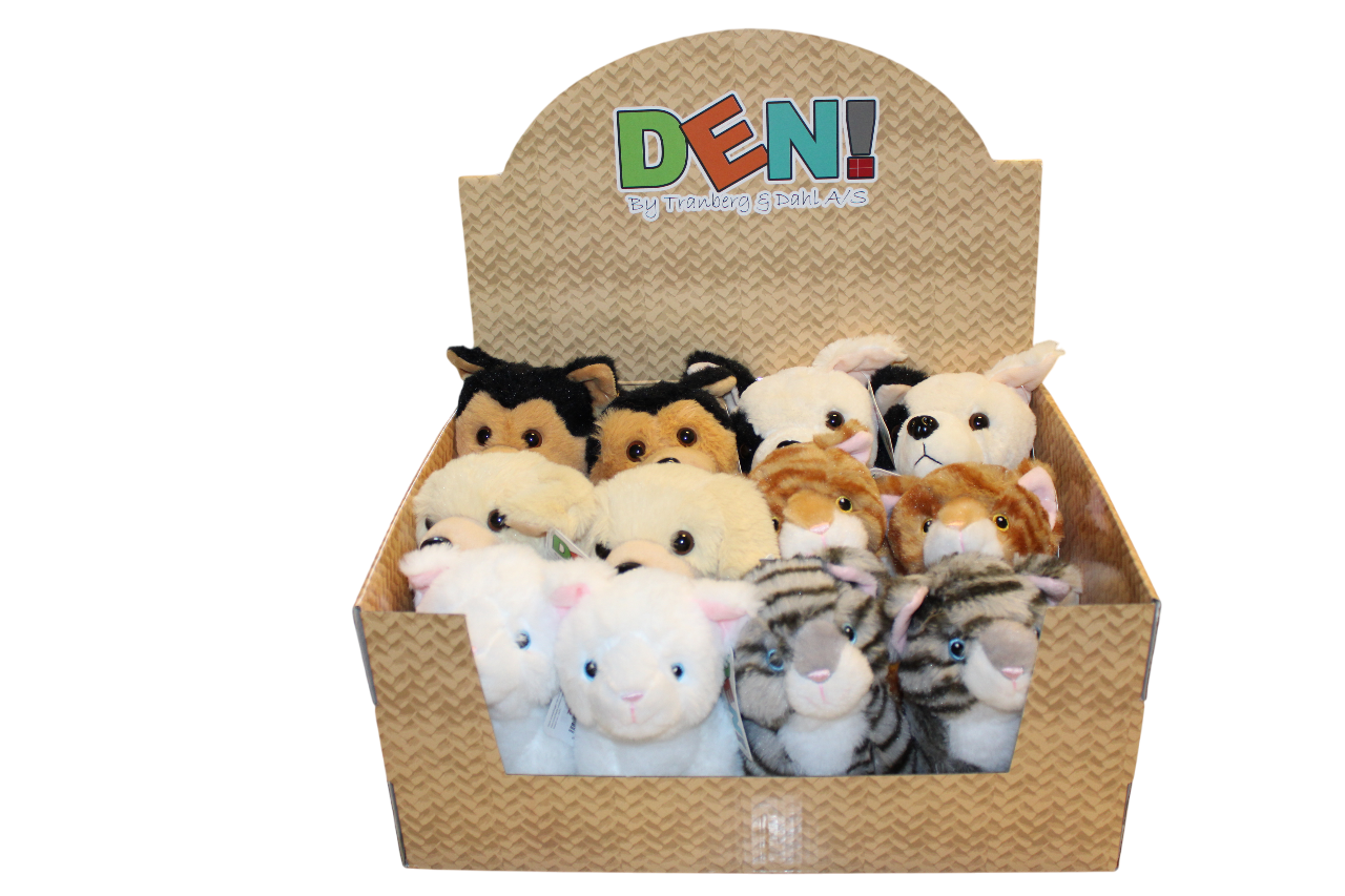 01-IMG_1372-Photoroom